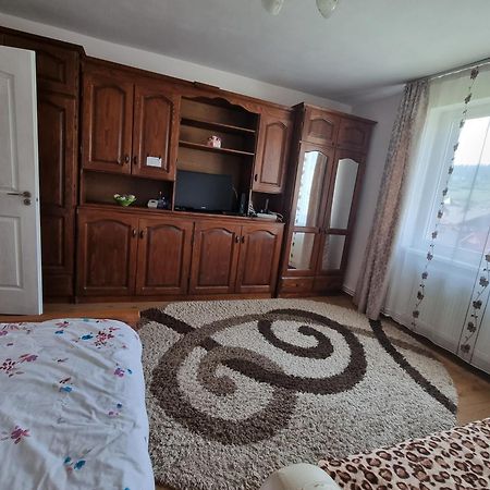 Garsoniera Emilia Câmpulung Moldovenesc Exterior foto